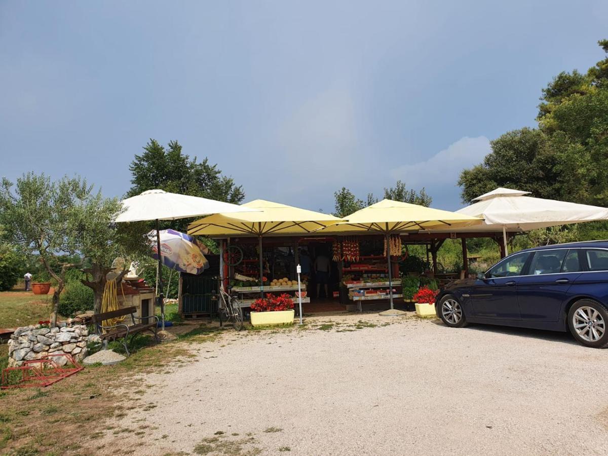 Mobile Home Leggiero 156 - Porton Nature Hideouts Rovinj Exterior foto